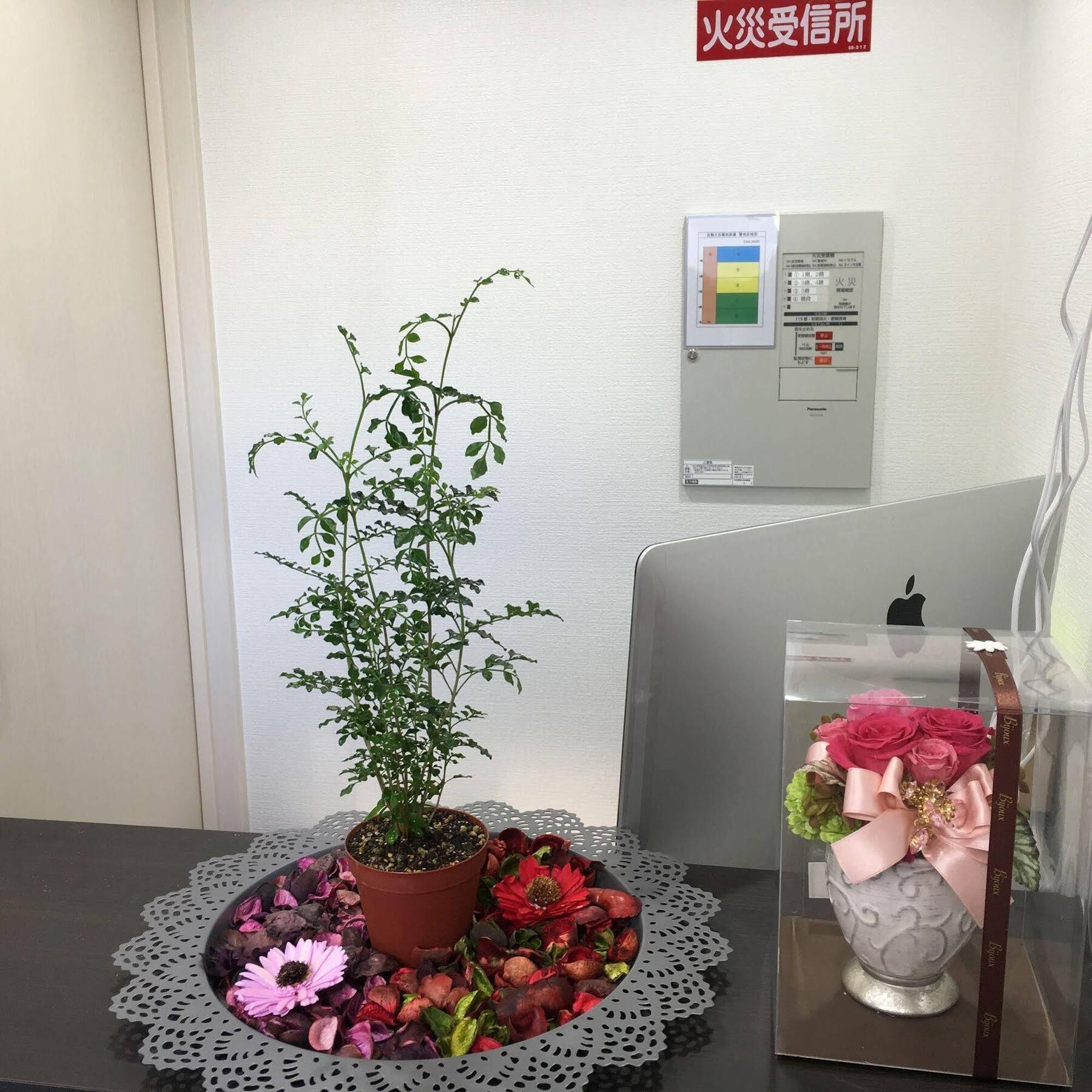 Coco Hostel Namba Ōsaka Eksteriør bilde